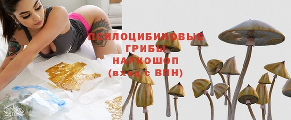 стаф Вязники