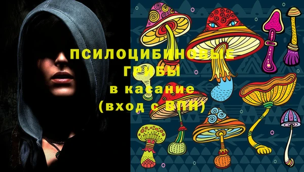 стаф Вязники
