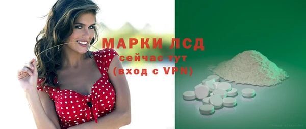 стаф Вязники