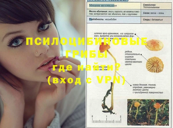 стаф Вязники