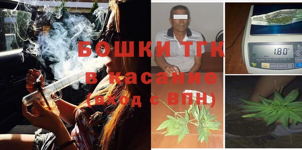 гидра Горно-Алтайск