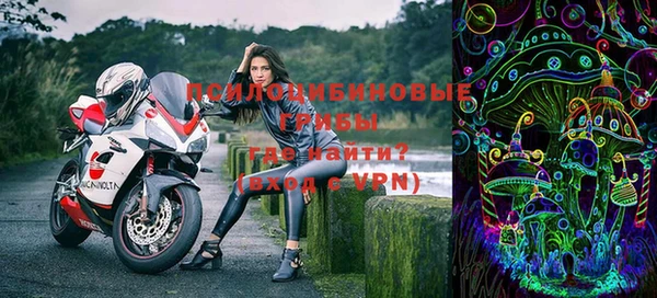 стаф Вязники