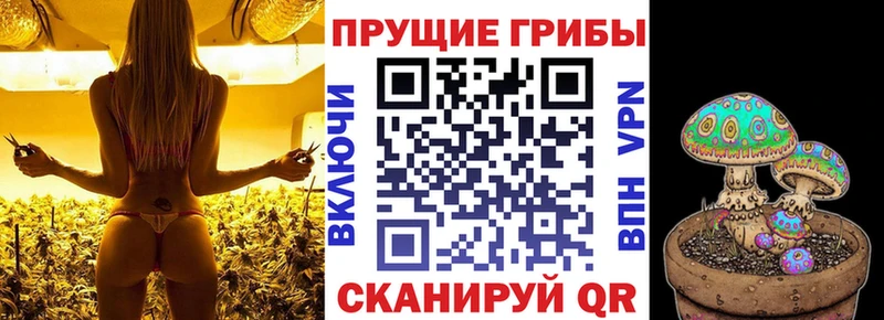 Галлюциногенные грибы Magic Shrooms  гидра вход  Разумное 